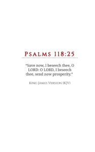 Title: Send Now Prosperity: Psalms 118:25: The Prayer of David, Author: Dr.O