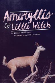 Title: Amaryllis & Little Witch, Author: Pascal Brullemans