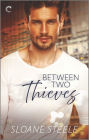 Between Two Thieves: A High Stakes Romantic Suspense