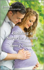 Building a Surprise Family: A Clean Romance