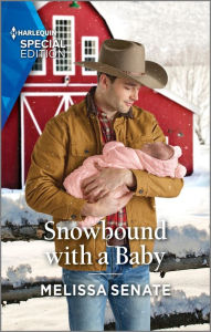Free download easy phone book Snowbound with a Baby by Melissa Senate iBook English version