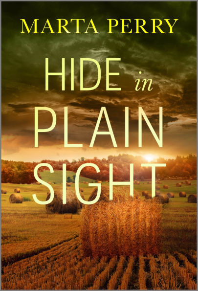 Hide in Plain Sight: A Thrilling Amish Mystery