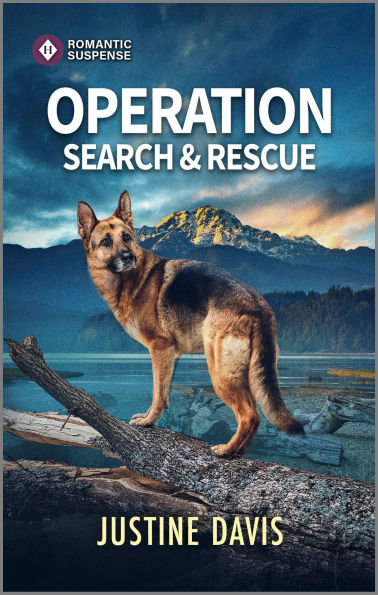 Operation Search and Rescue: A Romantic Thriller