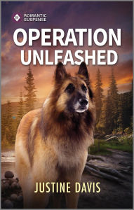 Operation Unleashed: A Romantic Thriller