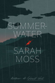 Summerwater: A Novel