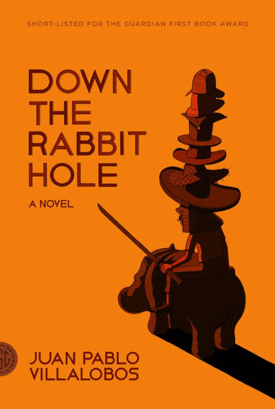 Down the Rabbit Hole: A Novel