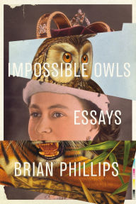 Impossible Owls: Essays