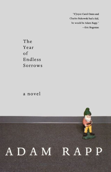 The Year of Endless Sorrows: A Novel