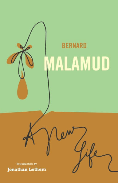 A New Life: A Novel