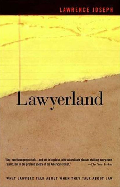 Lawyerland: What Lawyers Talk about When They Talk about Law