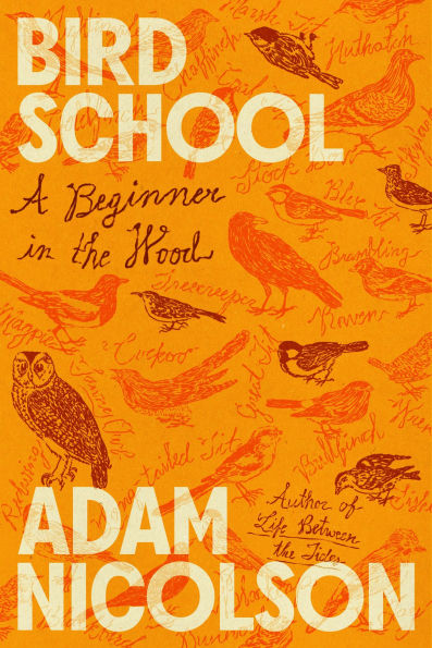 Bird School: A Beginner the Wood