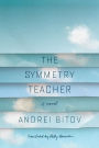 The Symmetry Teacher