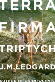 Title: Terra Firma Triptych: When Robots Fly, Author: J. M. Ledgard