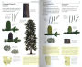 Alternative view 3 of The Sibley Guide to Trees
