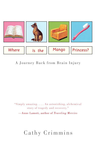 Where Is the Mango Princess?: A Journey Back From Brain Injury