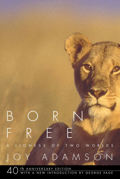 Born Free: A Lioness of Two Worlds