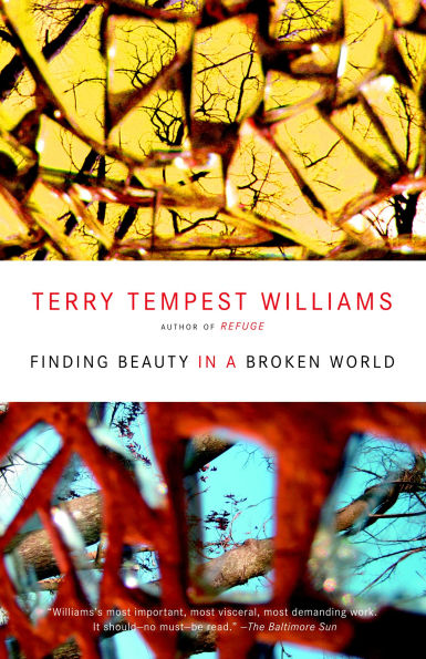 Finding Beauty a Broken World