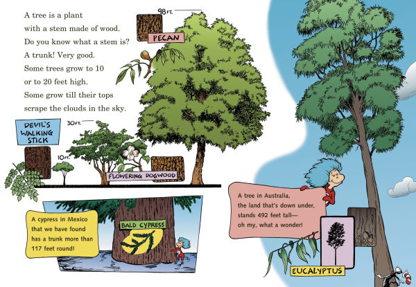 I Can Name 50 Trees Today!: All About (Cat the Hat's Learning Library Series)