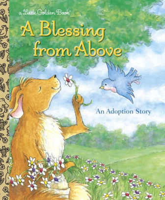 A Blessing From Above By Patti Henderson Hardcover Barnes Noble