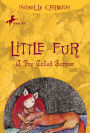 A Fox Called Sorrow (Little Fur Series #2)