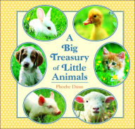 Title: Big Treasury of Little Animals, Author: Phoebe Dunn