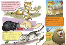 Alternative view 4 of What Cat Is That? All About Cats