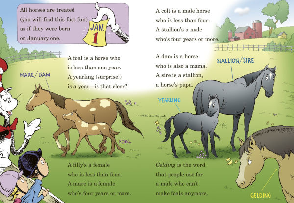 If I Ran the Horse Show: All About Horses