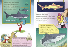 Alternative view 5 of Hark! A Shark! All About Sharks