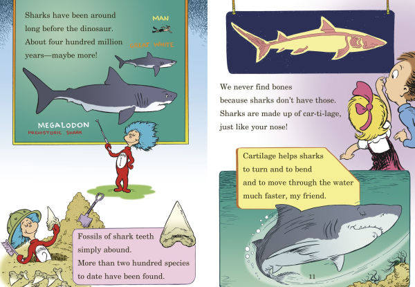 Hark! A Shark! All About Sharks