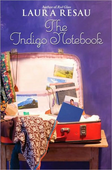 The Indigo Notebook (Notebook Series #1)