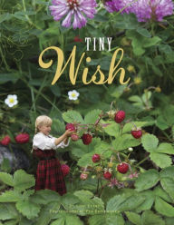 Title: The Tiny Wish, Author: Lori Evert