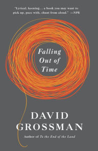Title: Falling Out of Time, Author: David Grossman