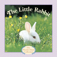 Title: The Little Rabbit, Author: Judy Dunn