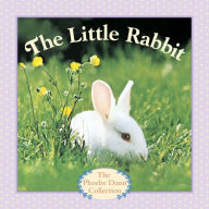 Title: The Little Rabbit, Author: Judy Dunn