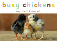 Title: Busy Chickens, Author: John Schindel