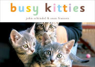 Title: Busy Kitties, Author: John Schindel