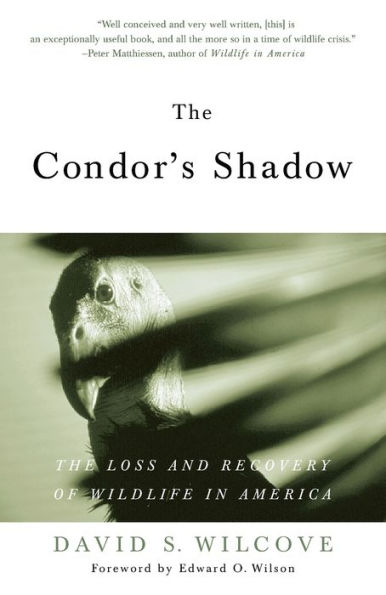 The Condor's Shadow: The Loss and Recovery of Wildlife in America