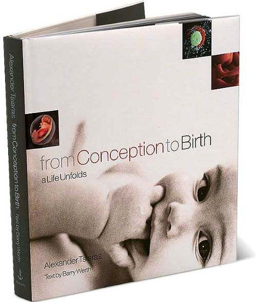 From Conception to Birth: A Life Unfolds