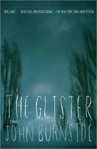 Title: The Glister: A Novel, Author: John Burnside