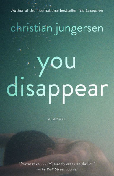 You Disappear: A Novel