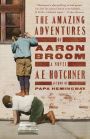 The Amazing Adventures of Aaron Broom