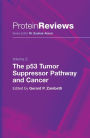 The p53 Tumor Suppressor Pathway and Cancer