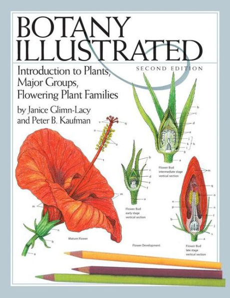 Botany Illustrated: Introduction to Plants, Major Groups, Flowering Plant Families / Edition 2
