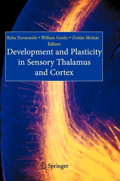 Development and Plasticity in Sensory Thalamus and Cortex / Edition 1