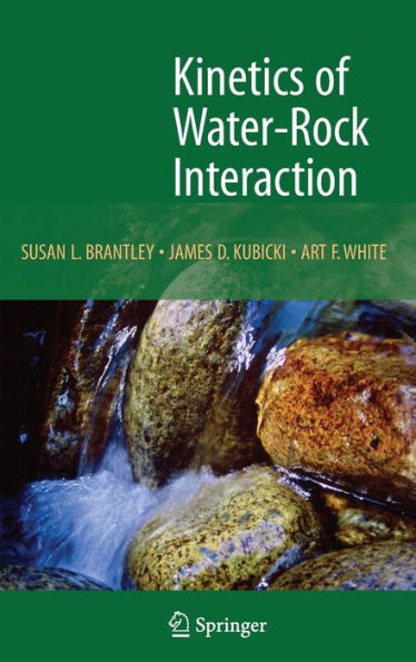 Kinetics of Water-Rock Interaction / Edition 1