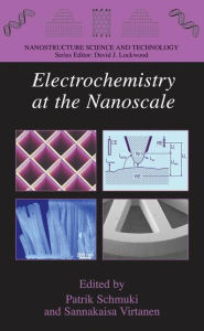 Title: Electrochemistry at the Nanoscale / Edition 1, Author: Patrik Schmuki