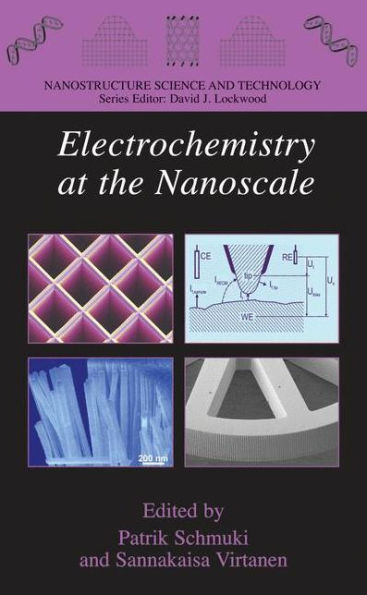 Electrochemistry at the Nanoscale / Edition 1