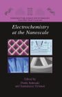 Electrochemistry at the Nanoscale / Edition 1