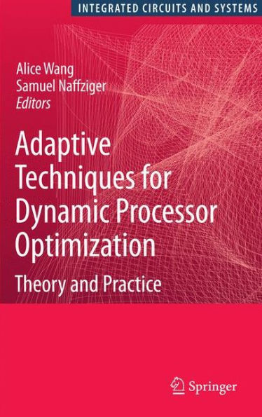 Adaptive Techniques for Dynamic Processor Optimization: Theory and Practice