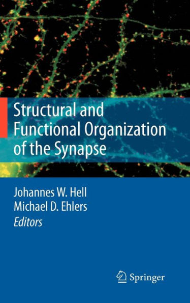Structural and Functional Organization of the Synapse / Edition 1